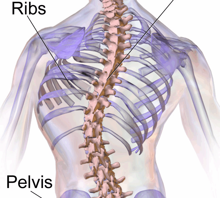 Functional Scoliosis FAQs (part 5 in 5 part series)